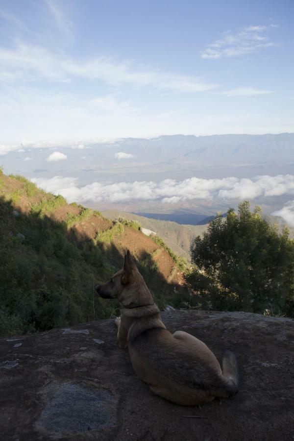 Mambo View Point Villa Ndungu Bagian luar foto